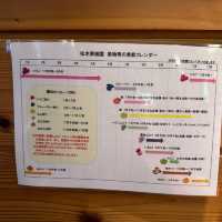 【福岡観光/カフェ】旬のフルーツパフェ