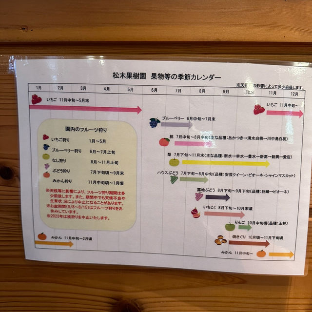 【福岡観光/カフェ】旬のフルーツパフェ