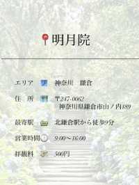 【鎌倉】1度は行きたい！紫陽花の名所