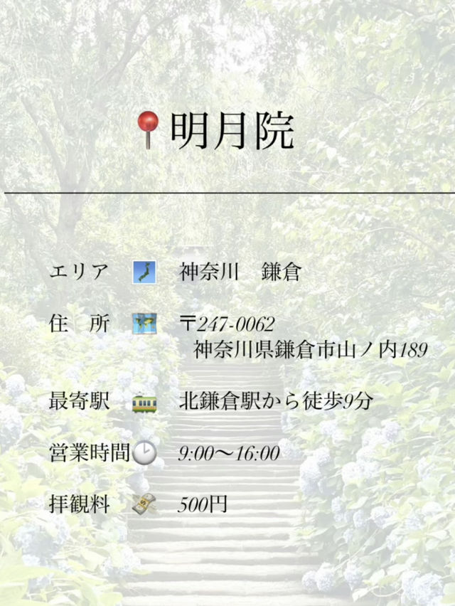 【鎌倉】1度は行きたい！紫陽花の名所