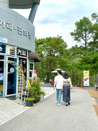 서울 근교 데이트 파주 마장호수 출렁다리 추천
