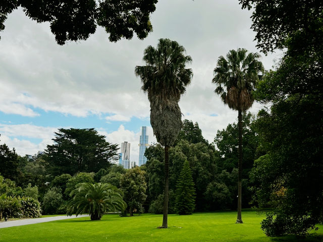 Royal Botanic Gardens Victoria - Melbourne Gardens