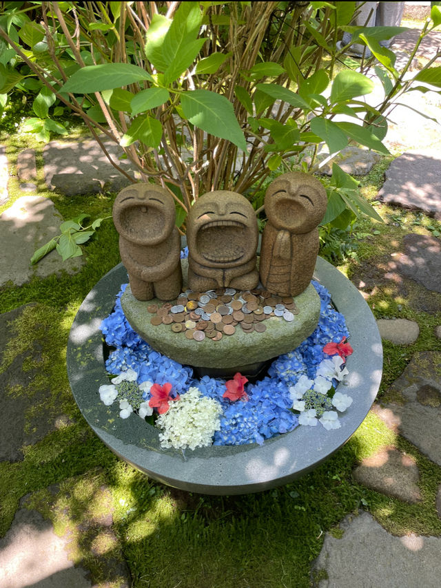 一生に一度は訪れたい💙世界の絶景💙あじさいの雲昌寺☺️💠✨