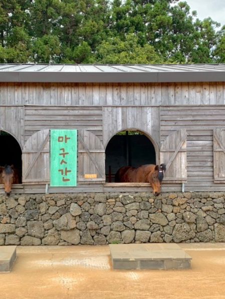 제주도 아이랑 가볼만한곳 🐎