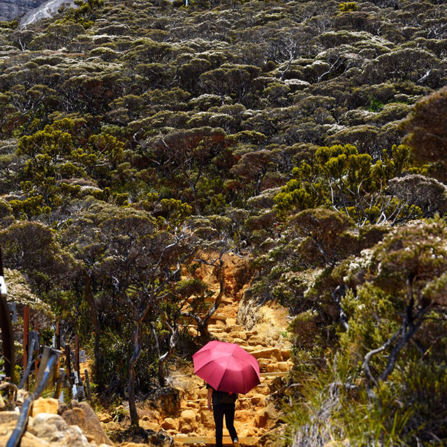 Exploring Mount Kota Kinabalu: A Peak Adventure in Borneo
