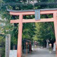 【神楽坂】仕事終わりから行ける🏃💨夜の街歩き🌙