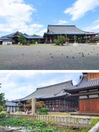 【滋賀】長浜市にある歴史深い場所「長浜別院大通寺」