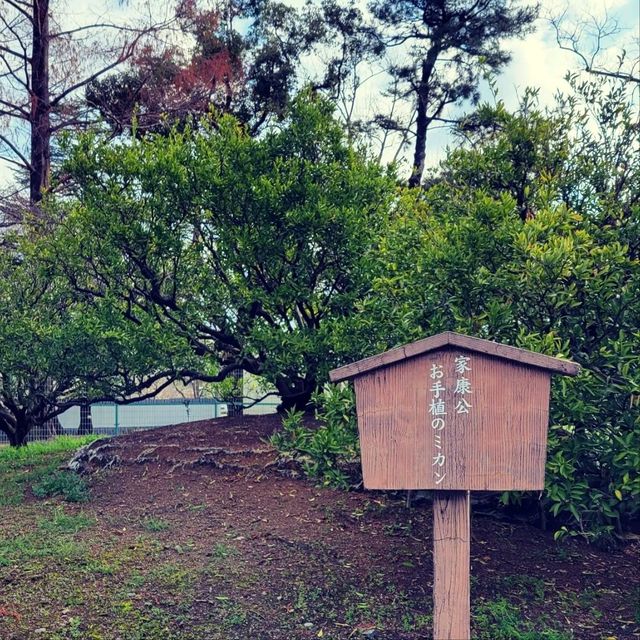 【静岡県】駿府城公園