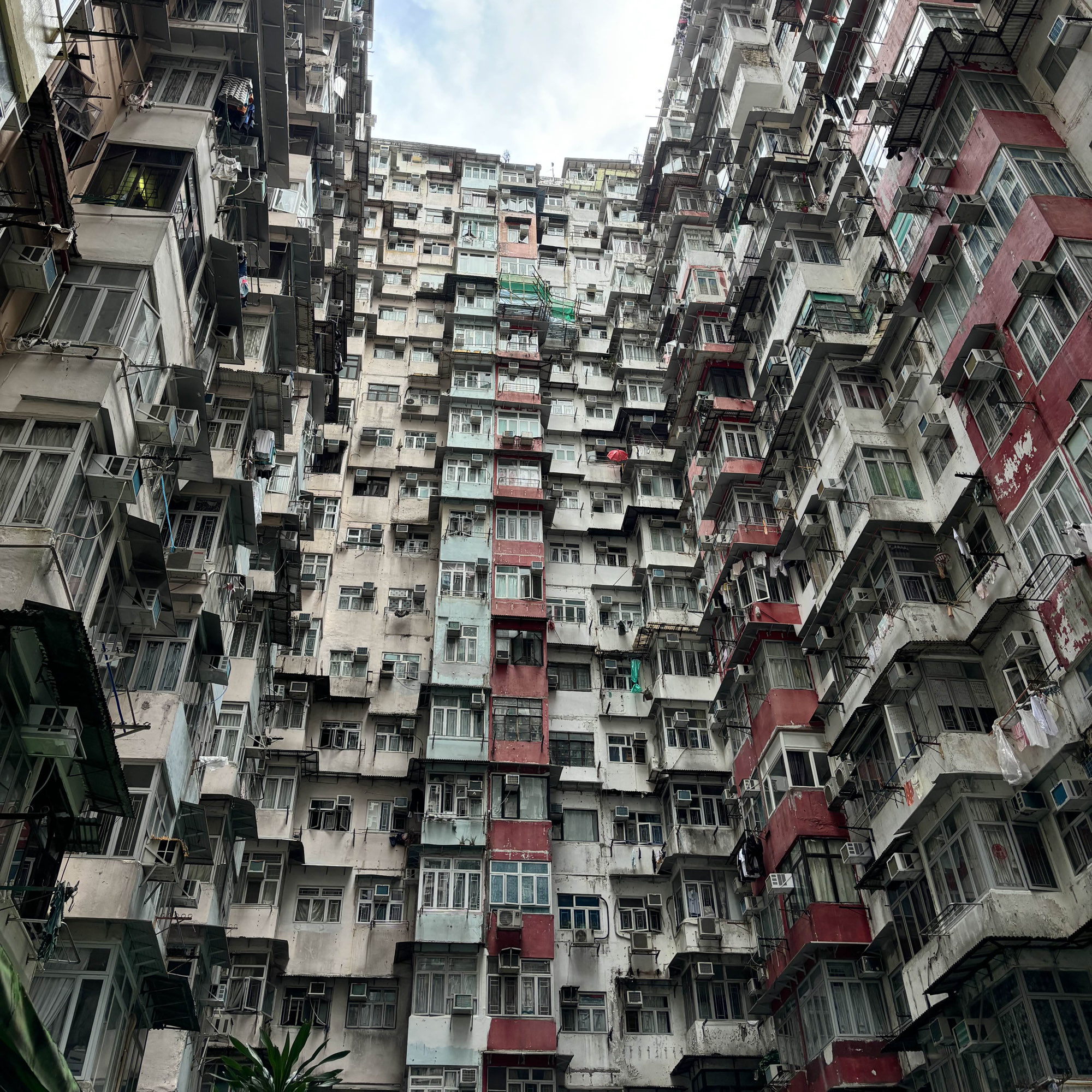 Free travel to Hong Kong and Macau
DAY 2:
I have been influenced by Hong Kong movies since I was a child: Fight Back to School, Infernal Affairs, Young and Dangerous, Police Stories series, etc. This time when I came to Hong Kong, I felt like I was walking into a movie scene. The MTR Tsuen Wan Line is the earliest subway line in Hong Kong. Famous places such as Central, Tsim Sha Tsui, Yau Ma Tei, Mong Kok, Prince Edward, etc. are all on this line, and they are also classic scenes that often appear in many Hong Kong movies; skyscrapers, double-decker buses, red taxis and signs extending to the road are the scenery that can be seen everywhere when walking in the alleys of Nathan Road and Temple Street in Mong Kok. Standing on the pedestrian bridge, you can feel the hustle and bustle of traffic and the endless flow of people. When you are tired, just find a tea restaurant and order a pork chop and a butter bun, with a cup of milk tea or Horlicks to replenish your energy. Hong Kong is really a city that is fun to visit and delicious.

Attractions:
Lui Seng Chun Mansion, Mong Kok Road
Prince Edward Flower Market Road, Yuen Po Street Bird Garden
Goldfish Street
Broadway Cinematheque
Temple Street, former Yau Ma Tei Police Station
China Hong Kong City, Harbour City
Maritime Viewpoint
Former Kowloon-Canton Railway Clock Tower
Hong Kong Museum of Art
Accommodation: Regal Kowloon Hotel (Deluxe Family Room)

#Hong Kong
#Macau
#EVA Airways
#Platinum Asia VIP Lounge
#Ngong Ping 360 Cable Car
#Big Buddha
#Tsim Sha Tsui Promenade
#Rainbow Residence
#Lui Seng Chun
#Goldfish Street
#Mong Kok Road
#Broadway Cinematheque
#Temple Street Archway
#Yik Cheong Building
#Peace Peak Cable Car
#Lan Kwai Fong
#Wynn Palace Water Show
#Ruins of St. Paul’s
#Our Lady of the Rosary Church
#A-Ma Temple
#Macau Tower
#Tai Tam Hill Hiking Trail
#Guan Ye Street
#teamLab Supernatural Space
#Venetian Gondola Cruise