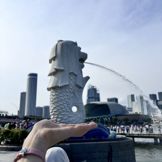 🇸🇬Singapore trip