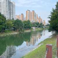 Punggol Park: A Tranquil Oasis in the Heart of Singapore 🇸🇬