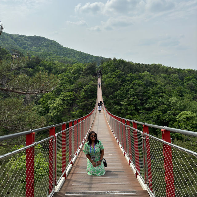 DMZ: A journey through history and hope