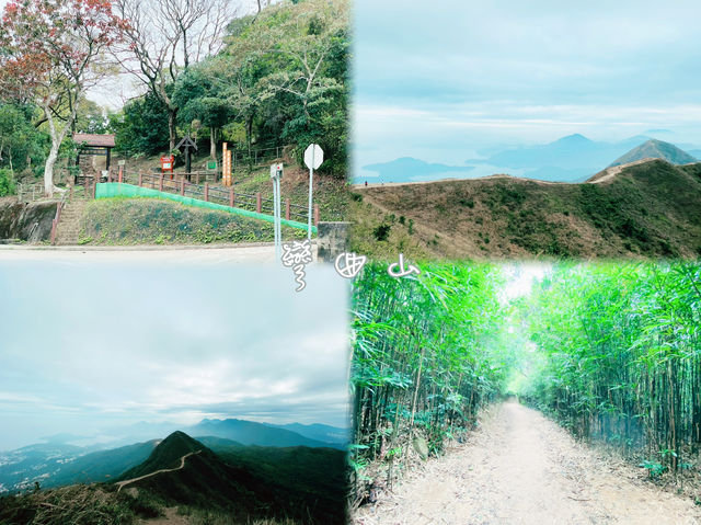 【香港沙田】彎曲山：壯觀山景，交通方便