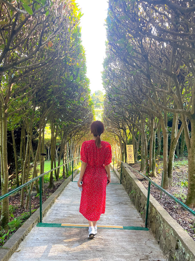이국적인 분위기 가득🌳 거제도 대표 여행지 📍외도 보타니아