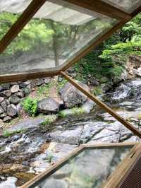 대구 비슬산 계곡 물놀이 🏞 평상 대여 가능한 곳