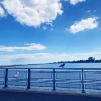 哥本哈根市內海灘