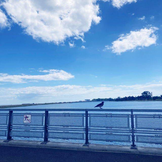哥本哈根市內海灘