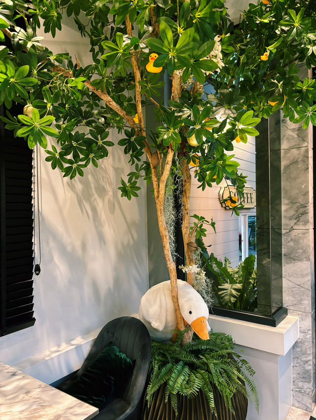 Wild Duck Cafe
