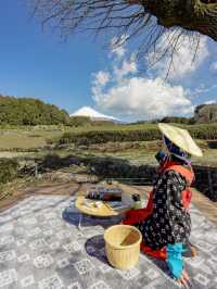 📍富士山の茶の間 -大淵笹場-