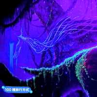 蘭卡威3D藝術互動樂園，大人小孩玩的不亦樂乎