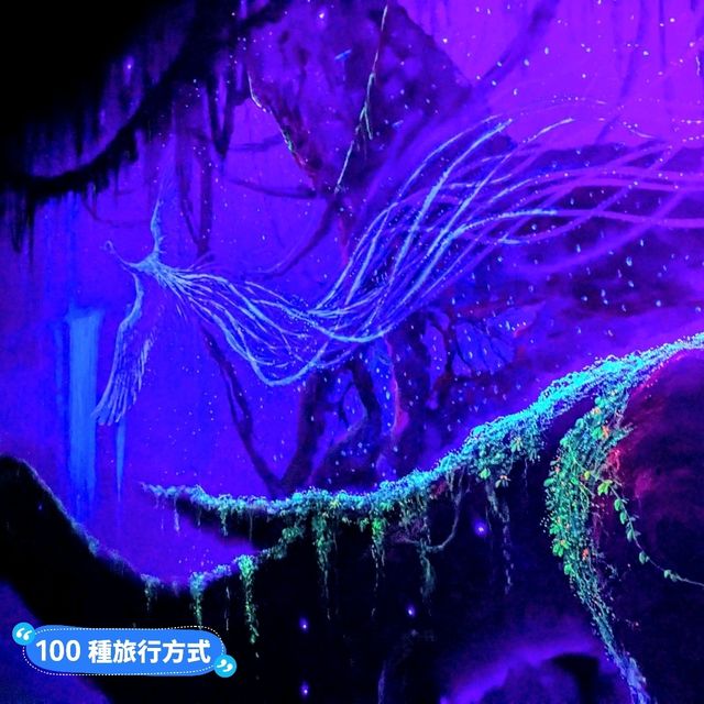 蘭卡威3D藝術互動樂園，大人小孩玩的不亦樂乎