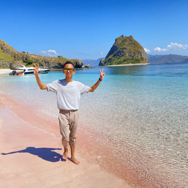 Stunning view of pink sand beach