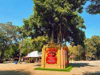 วัดถ้ำพุหว้า วัดสวยที่เมืองกาญ