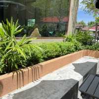  รีวิว Groggy and Friends Coffee Roaster 