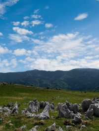 愛媛　まるでスイス！？四国カルスト⛰️🐄