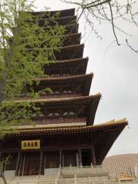 Niushoushan Scenic Area in Nanjing🏞️🌳