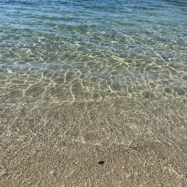 奄美 加計呂麻島🏝