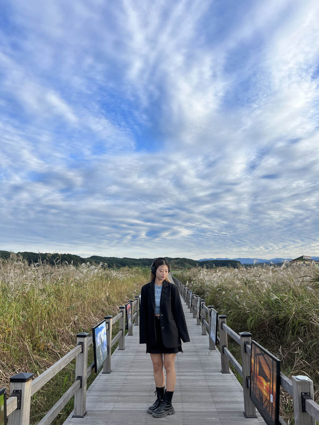 가을의 대표 식물 억새 산책길에서 인생 사진 남기기