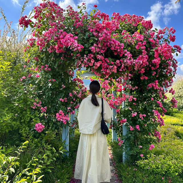 여름여행지 양평 추천하는 대형 정원 카페🌿