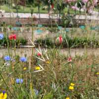 A Serene Escape in the Heart of Rennes