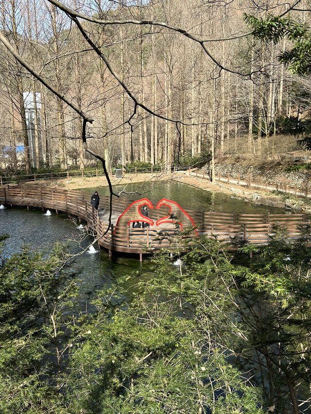 대전 장태산자연휴양림 숲산책 추천🌳
