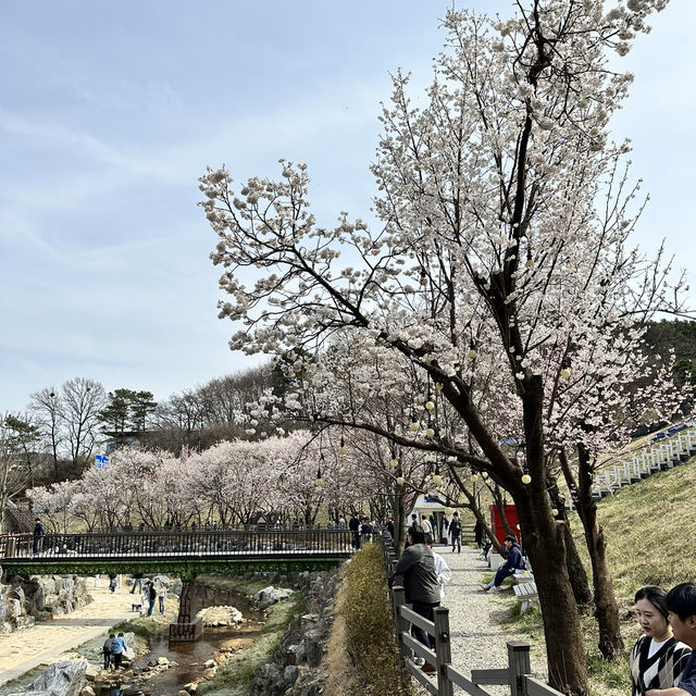예쁜 꽃과 호수가 인상깊었던 이천 설봉공원🏞️