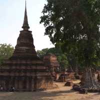 วัดมหาธาตุ อุทยานประวัติศาสตร์สุโขทัย