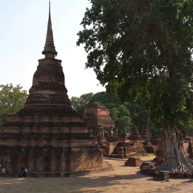 วัดมหาธาตุ อุทยานประวัติศาสตร์สุโขทัย