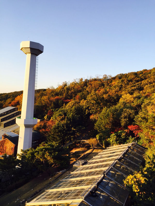 가을 여행 단풍 명소 서울대공원 