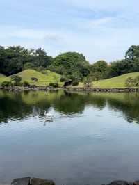 🌿 **水前寺成趣園 - 熊本の名勝回遊式庭園** 🌿