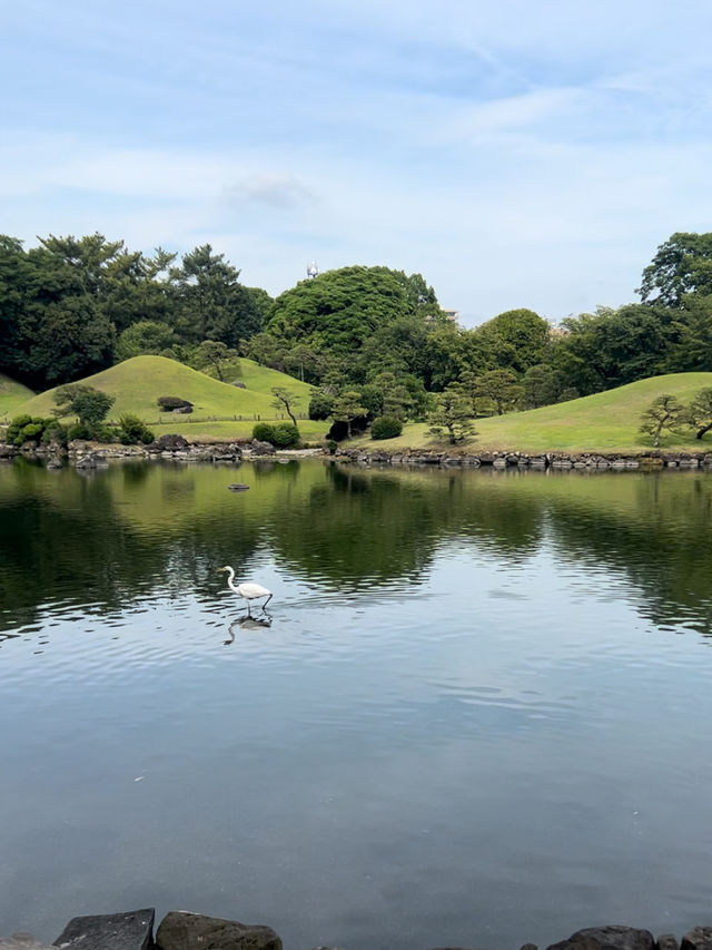 🌿 **水前寺成趣園 - 熊本の名勝回遊式庭園** 🌿