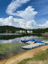 【小野市】アウトドアにおすすめ鴨池