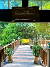 Save the Elephants at Kuala Gandah National Elephant Conservation Centre
