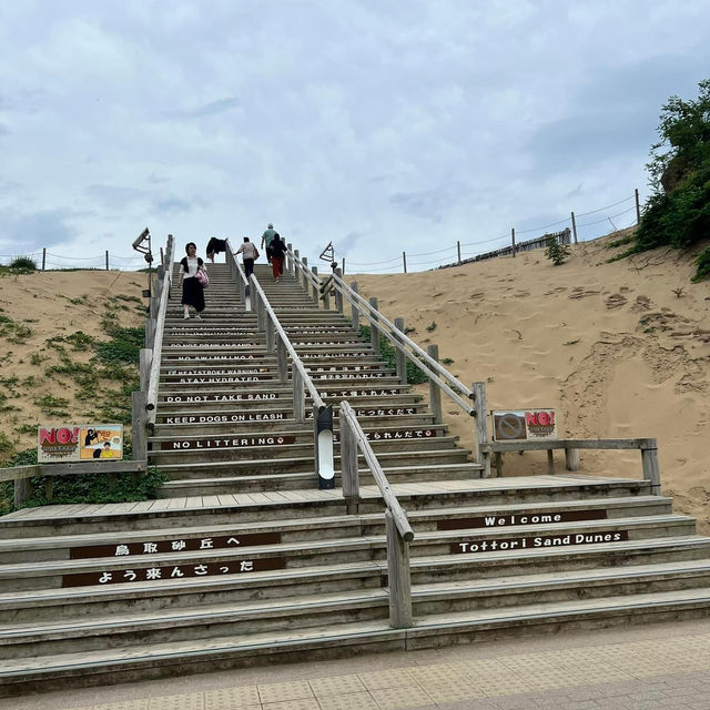 Discover Tottori Sand Dunes Children’s Playground – A Hidden Gem for Family Fun