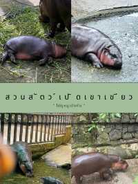 สวนสัตว์เปิดเขาเขียว