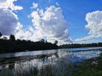 Discover MacRitchie Reservoir: Singapore’s Secret Nature Gem