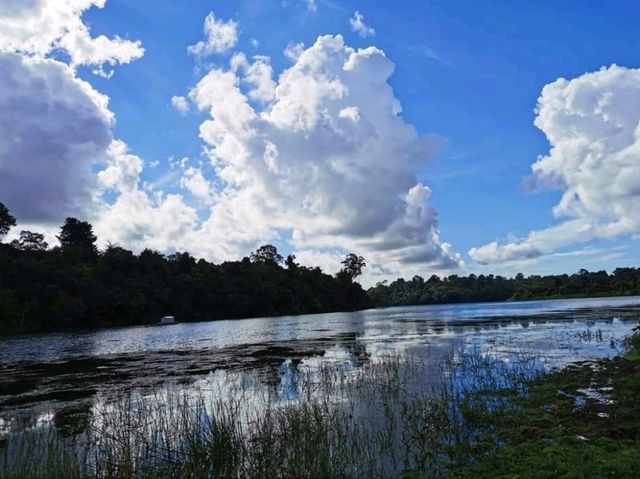 Discover MacRitchie Reservoir: Singapore’s Secret Nature Gem
