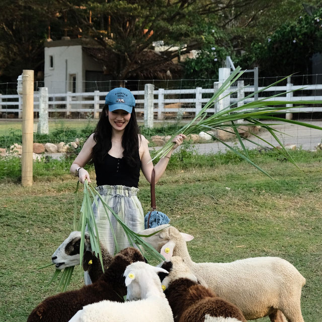 The Scenery Vintage Farm