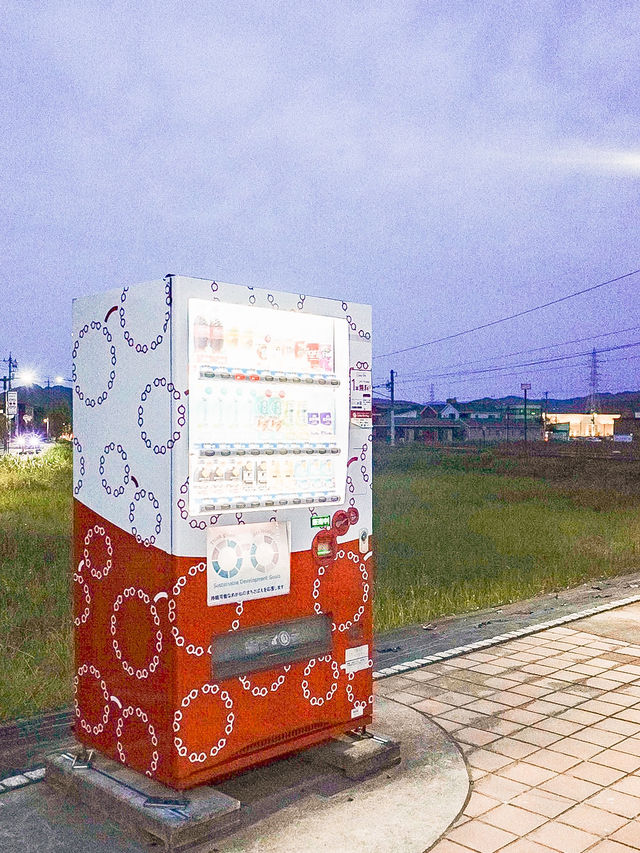 📍めがねストリート