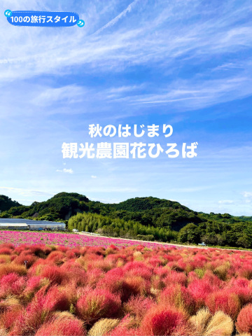 愛知県:南知多】もこもこのコキアが可愛い観光農園花ひろば | Trip.com